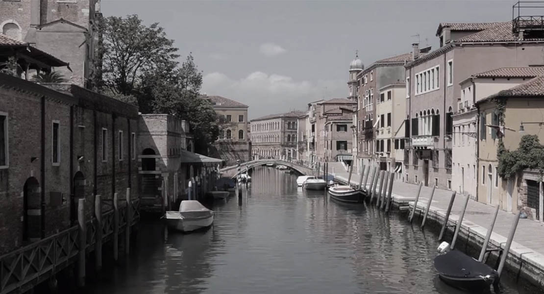 venice timelapse seagulls timelapse 01