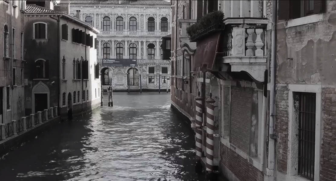 Experience Venice without humans: the Silence of the Seagulls — Time ...